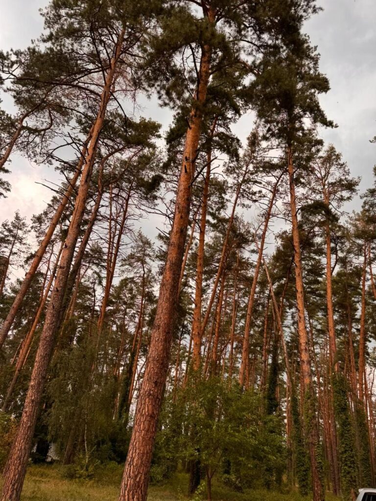 Передали допомогу в Ірпінський воєнний госпіталь